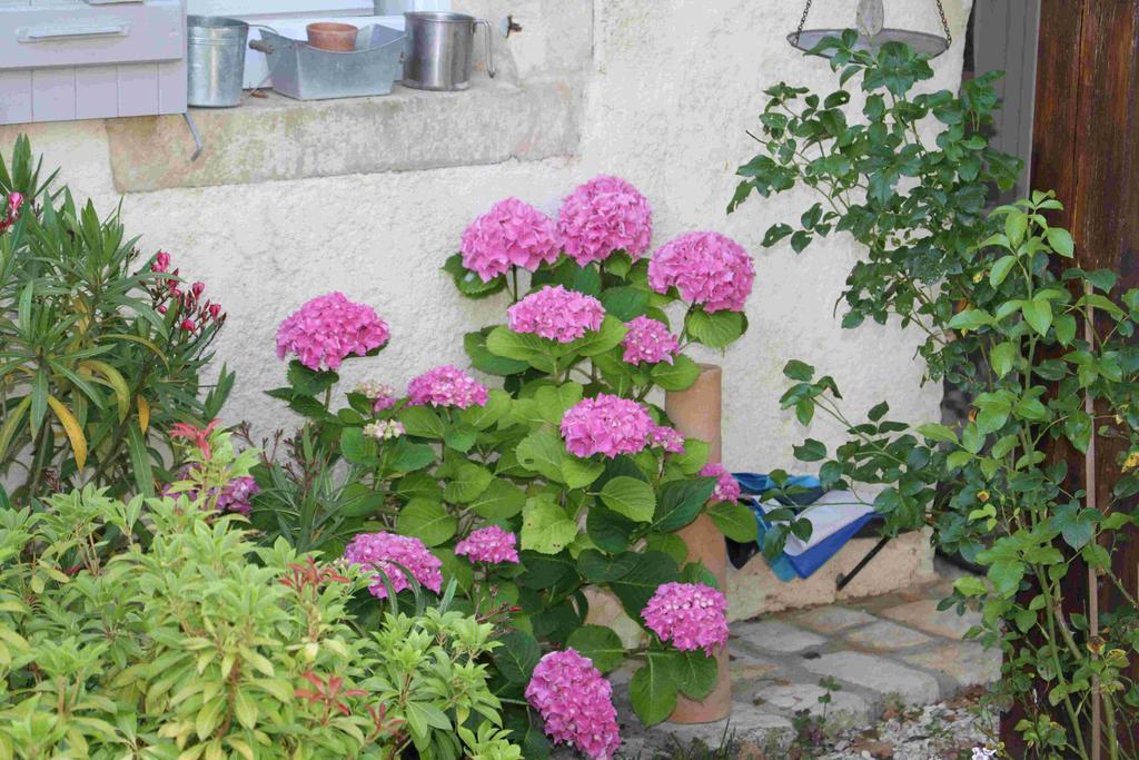 Chambres D'Hotes Le Logis Du Port Paradis Nieulle-sur-Seudre エクステリア 写真